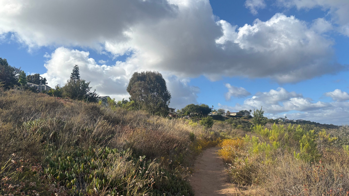 The Gardena Loop Trail in San Diego's Tecolote Canyon travels up on a hillside, with views of the canyon below. (Maura Fox/The San Diego Union-Tribune/TNS)