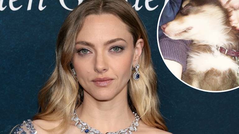 Amanda Seyfried Pays Tribute to Beloved Dog Finn After Death at 16 