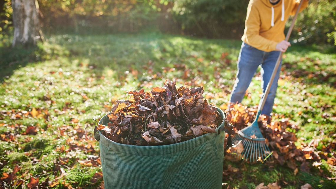 Before You Bag Up Your Fall Leaves, Gardeners Say to Try These 7 Ways to Put Them to Work in Your Yard 