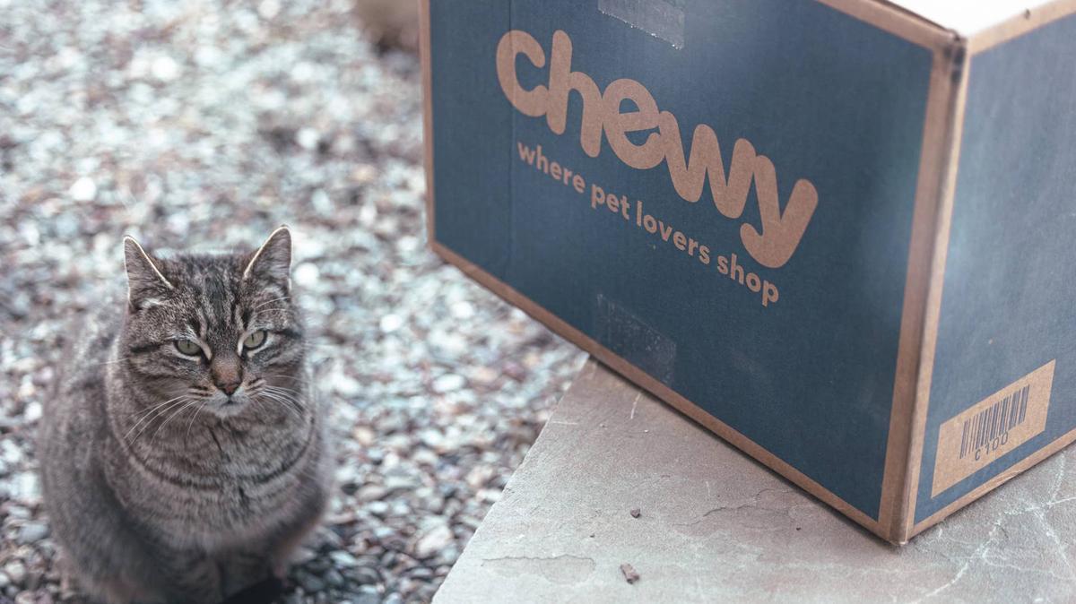 Cat sitting next to Chewy box.