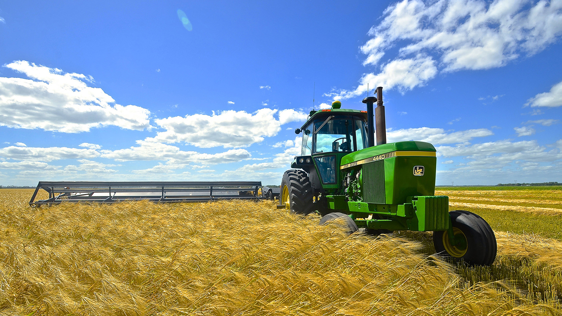 Heat worries US wheat farmers just as crop prices surge