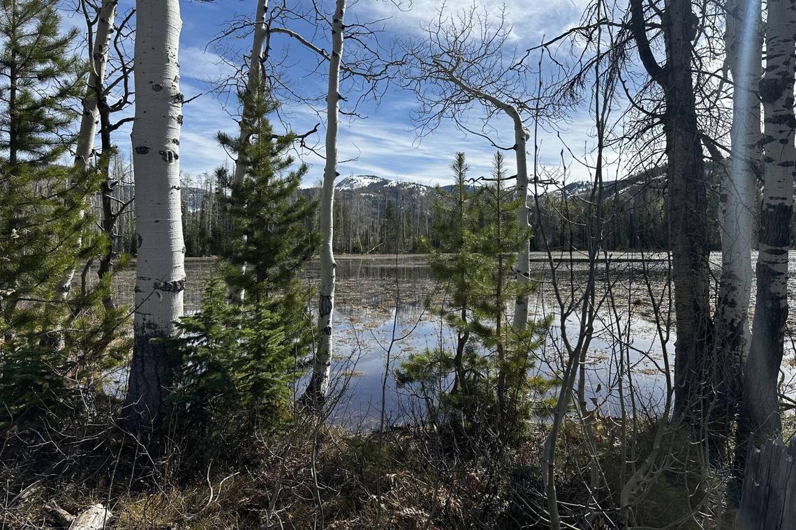  Looking toward the summit of Soda Mountain from Buffalo Pass' Dry Lake, now filled with spring runoff. 