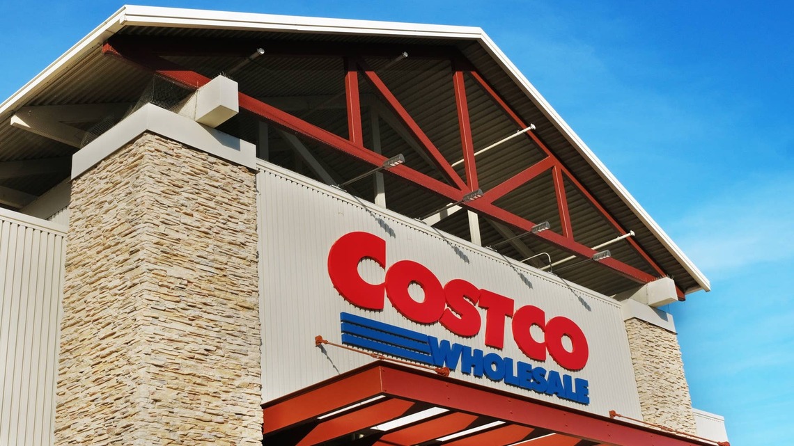 Costco's New Memory Foam-Filled Cat Scratcher Is a Cozy Hideout Kitties Are Obsessed With 