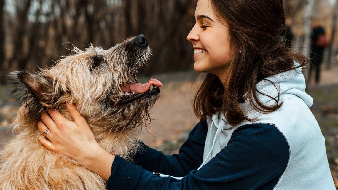 7 Subtle Signs Your Dog Shares a Deep Bond With You, According to Trainers 