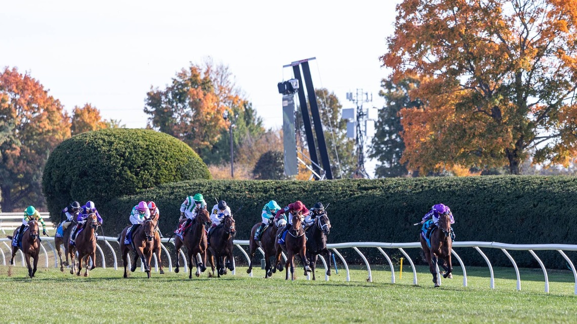 Sun Goddess Dominates Breeders' Cup Juvenile Fillies Turf 