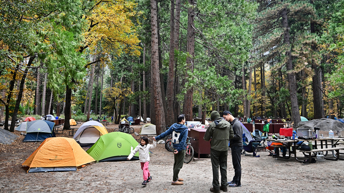 Crushing crowds turn Yosemite into 'Disneyland.' Can visitors still have fun? 