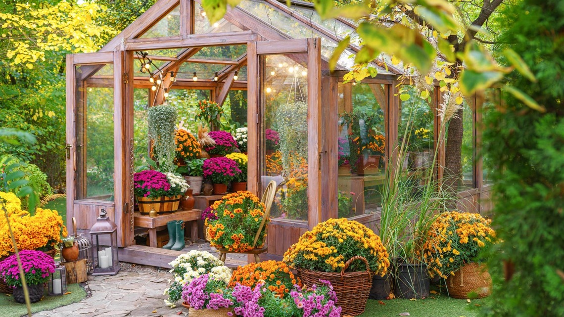 Thinking About a Greenhouse? Fall Is Actually the Best Time to Start