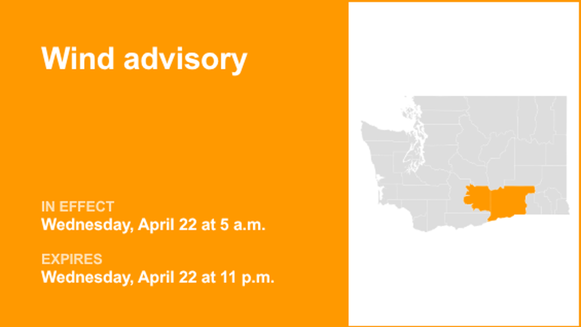 unitedrobots photography