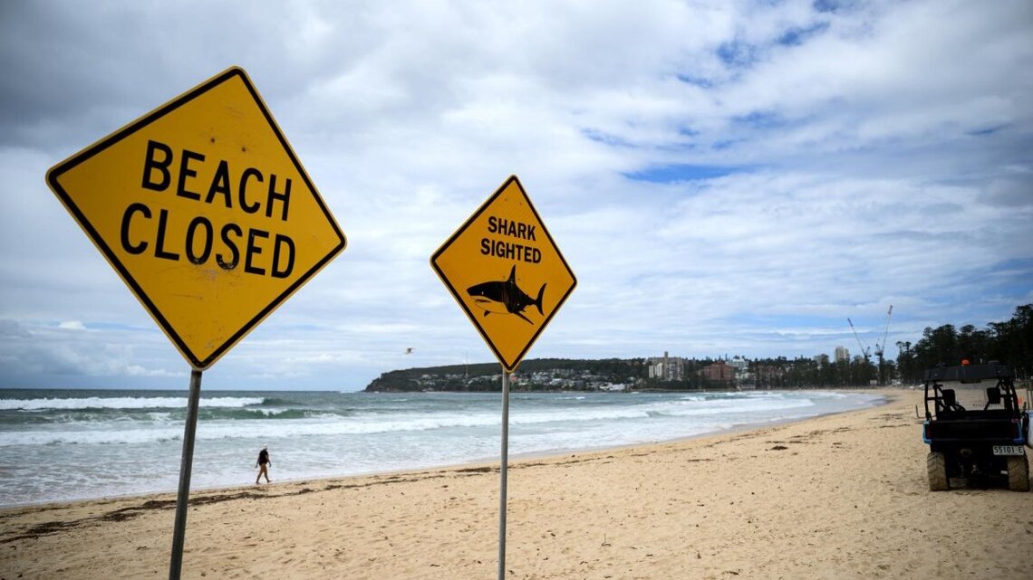 Woman attacked by shark in Australia, saved by lifeguard 