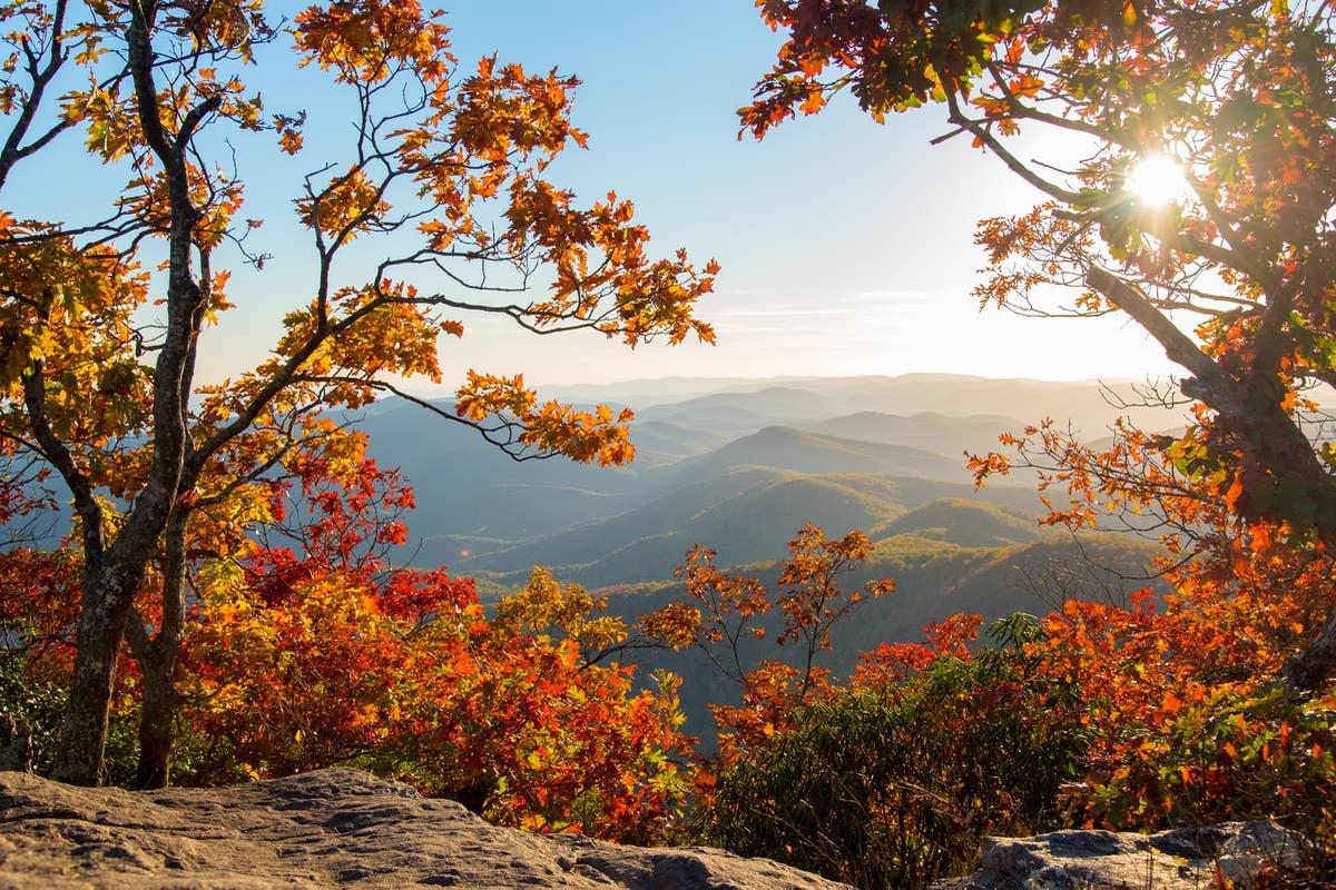  A hiking trail in Georgia where copperhead sightings are frequently reported.