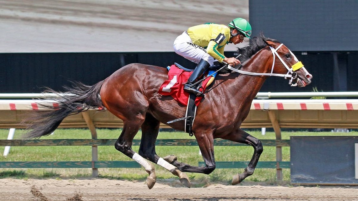 Debut Winner Raku Carries ‘High Hopes' Into Sapling 