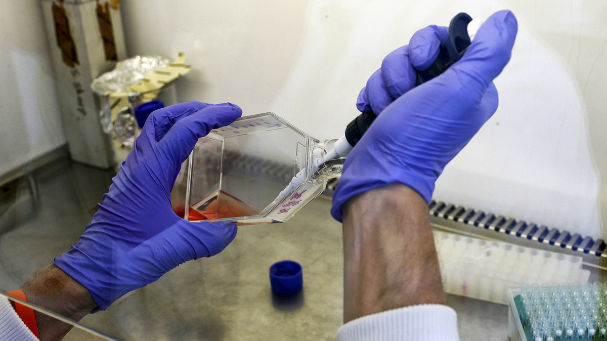 FILE PHOTO: A scientist grows cancer cells in a lab at the Institute of Cancer Research in Sutton, July 15, 2013. REUTERS/Stefan Wermuth/File Photo