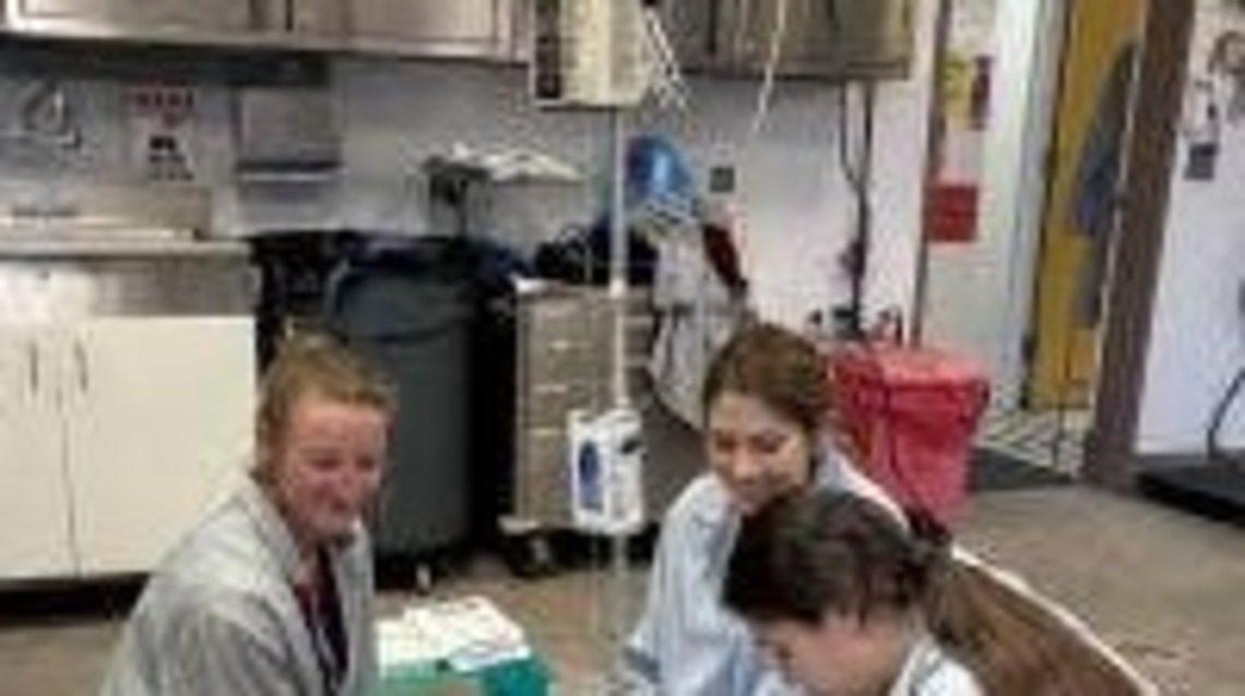 Premature Foal Recovers After Month In UC Davis NICU 
