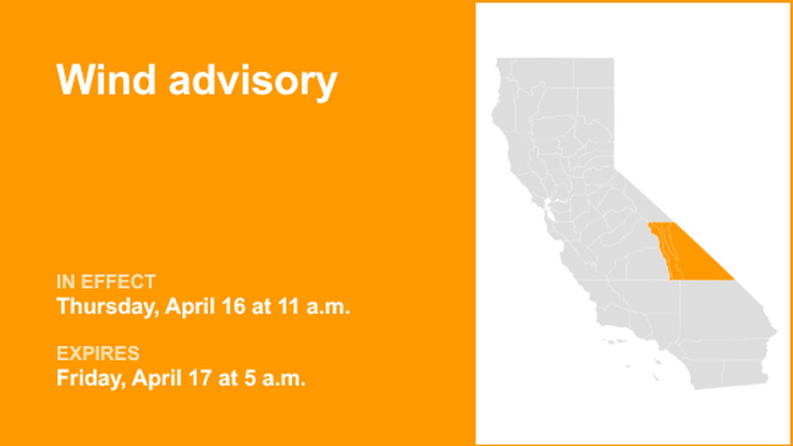 unitedrobots photography