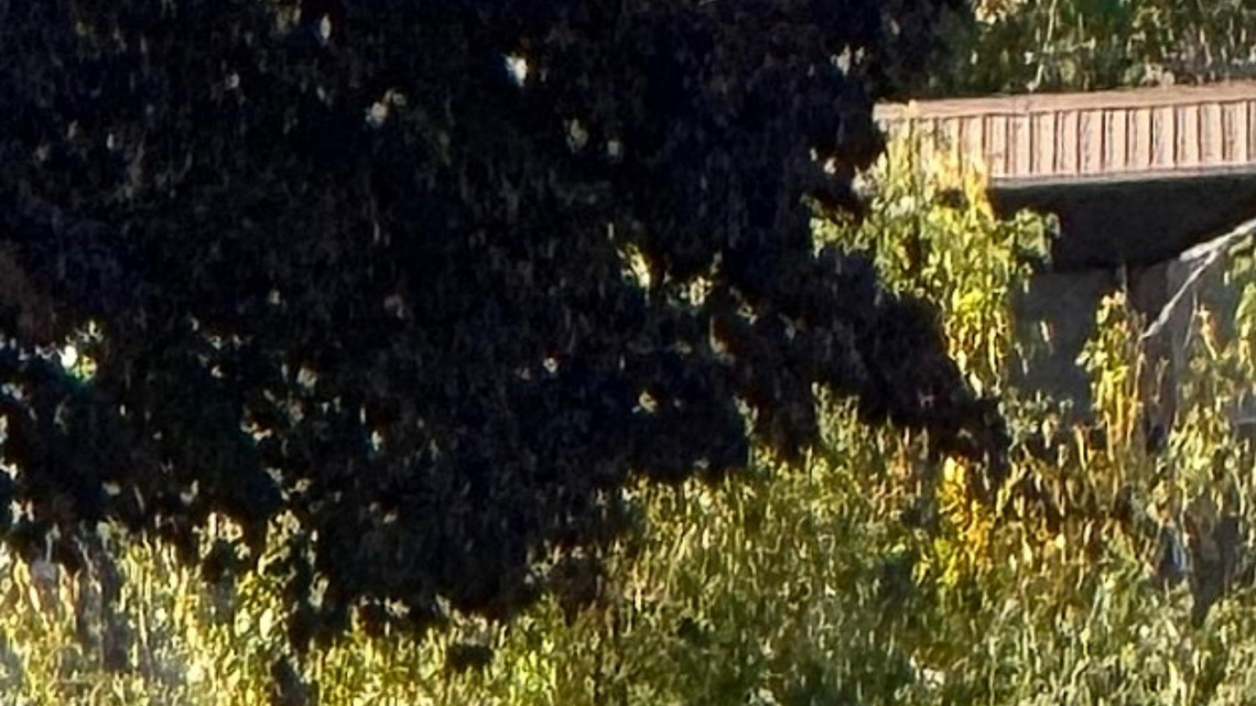 Bomb squad investigates suspicious item in vehicle on East 38th Street