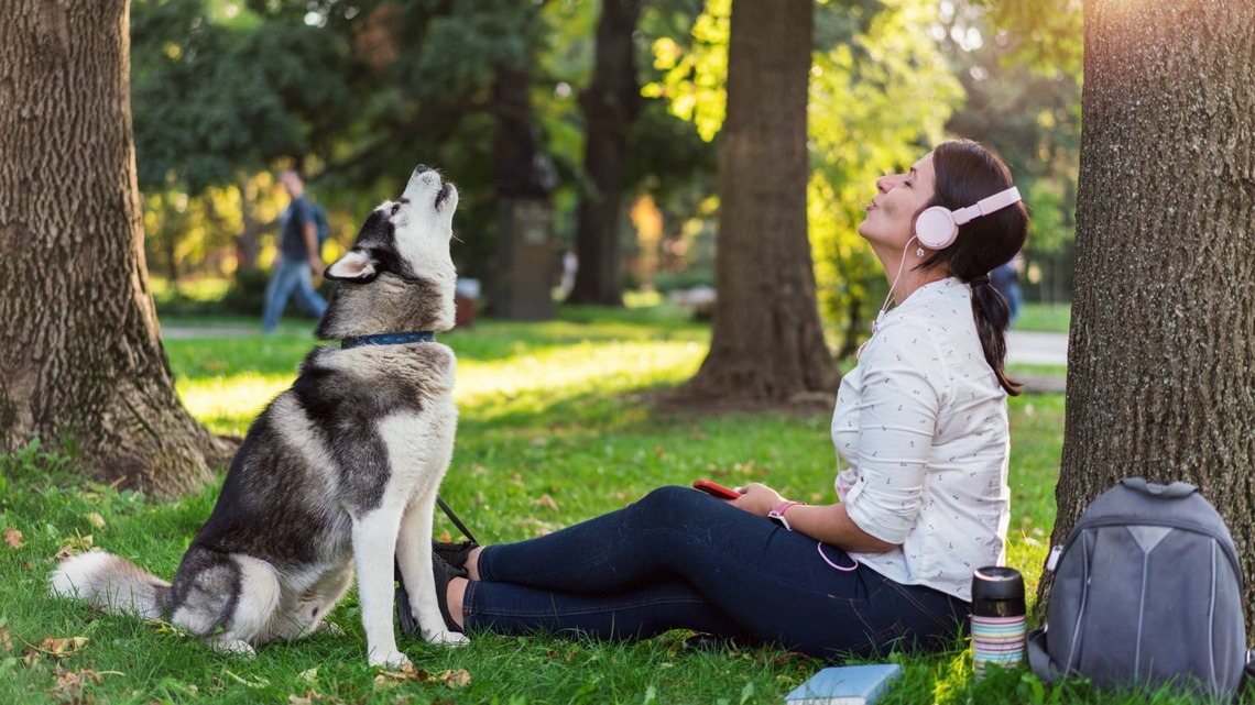 Husky Steals Show During Church Service With Soulful Howl, and the Internet Says He's a 'Joyous Addition' 