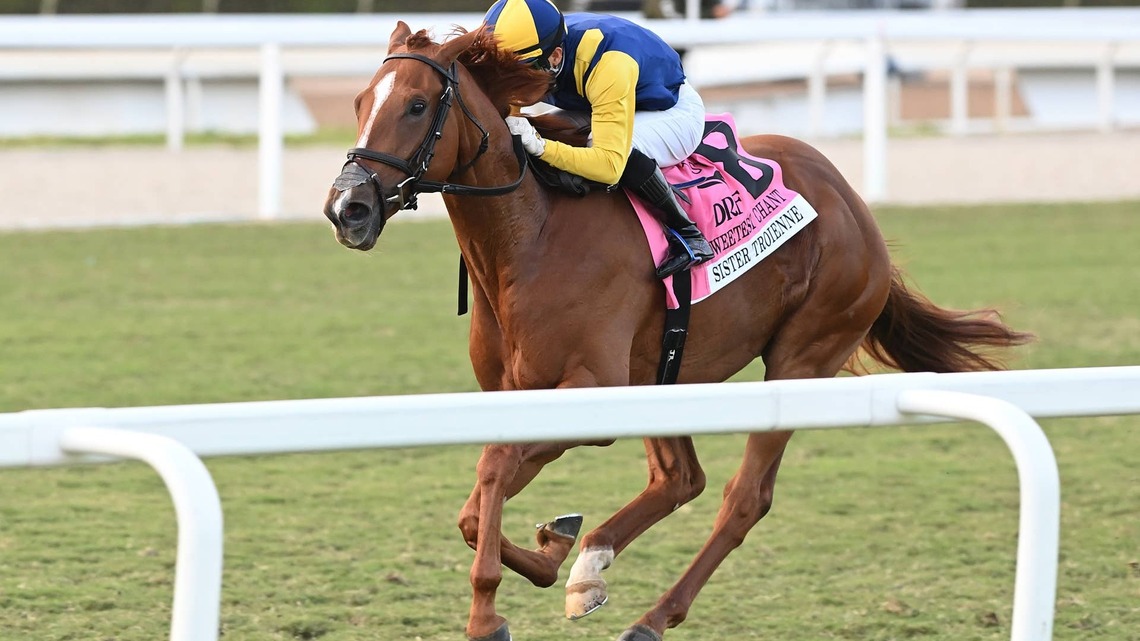 Queen Of Hawaii Seeks First U.S. Stakes Score In Winter Memories 