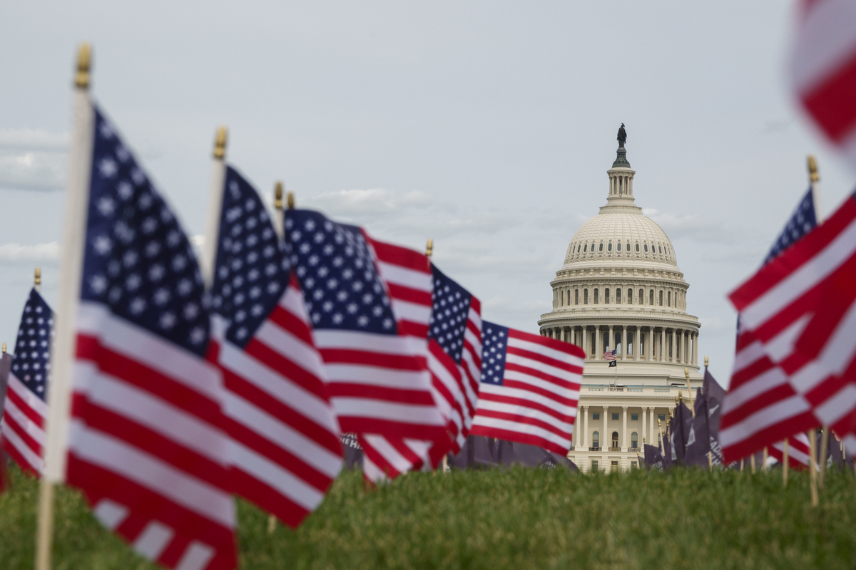  American flags are seen outside the U.S. Capitol in Washington, D.C. on June 1, 2025. 