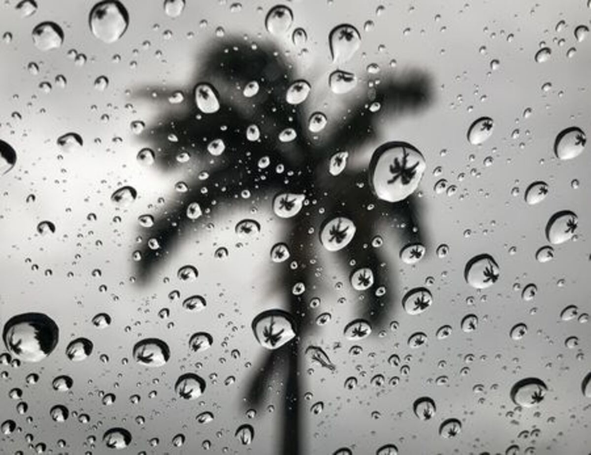Rains could be heavy during the drive home Monday, June 17, 2019, the National Weather Service said. [BRUCE R. BENNETT/palmbeachpost.com]