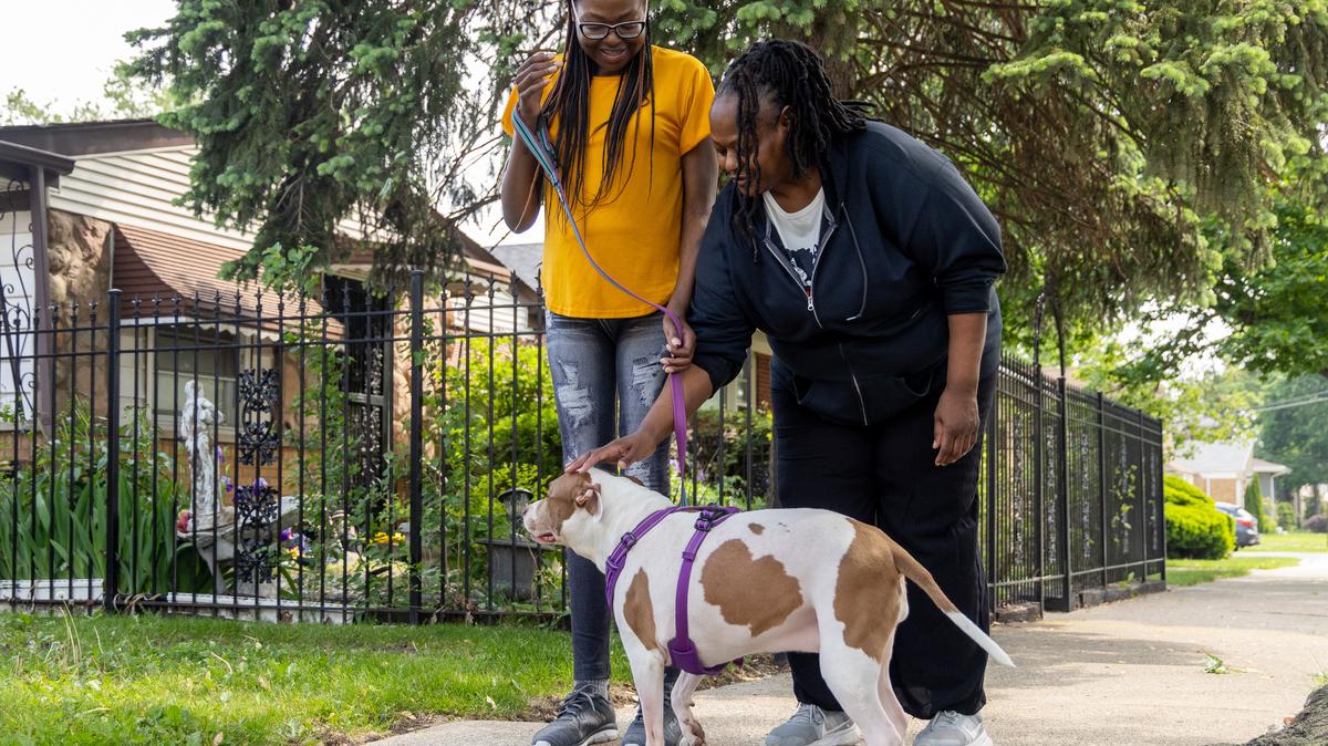 Jasmine Jones, 28, left, walks her dog Dutches with her mom, Patricia Smith, in Chicago’s Calumet Heights neighborhood on May 17, 2026. Jones had a quadruple transplant in January due to cystic fibrosis. (Josh Boland/Chicago Tribune/TNS)