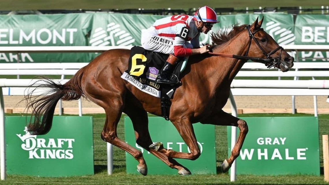 Chad Brown's 10th Miss Grillo Winner Domestic Agenda 'A Work In Progress' 