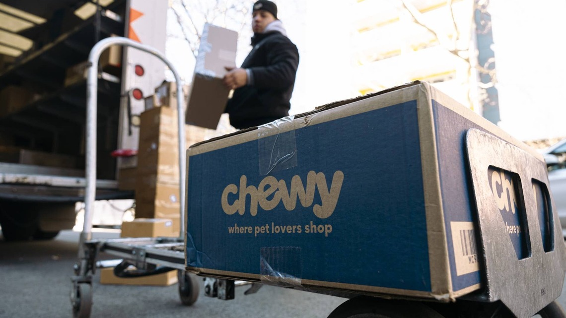 Chewy's Super-Handy Elevated Dog Bed Comes With a Built-In Canopy So Your Pup Can Lounge Outside in the Shade 
