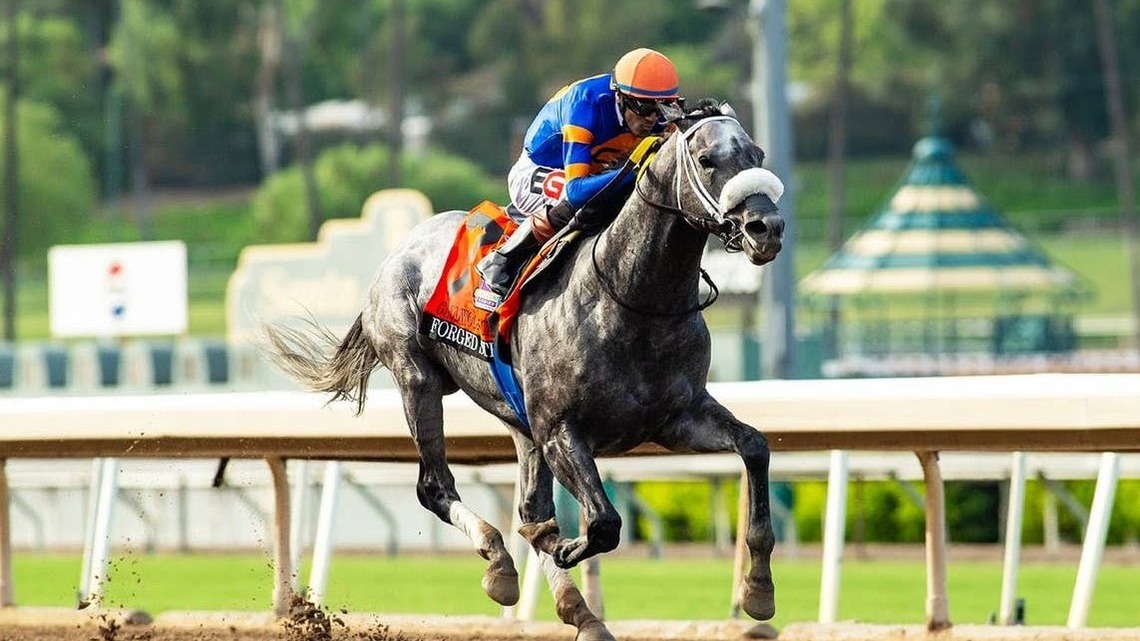 Forged Steel Secures BC Classic Berth In Goodwood 