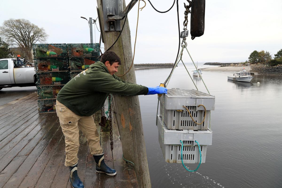 Evan Sanborn, sternman, helps offload the catch of the day in Kennebunkport, Maine, U.S., May 13, 2026.  REUTERS/Lauren Owens Lambert