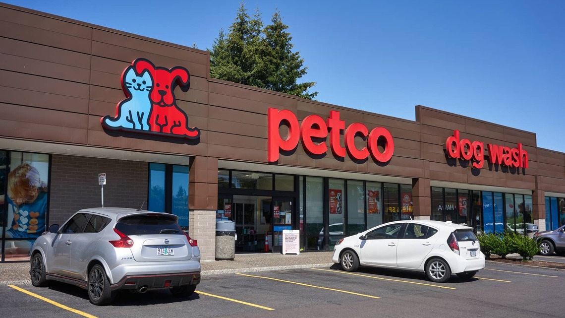 Banish Winter Boredom With Petco's $80 Indoor Dog Ball Pit 