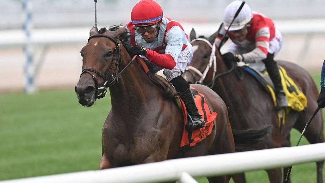 Dynamic Pricing Shows Class For Forever Together Win