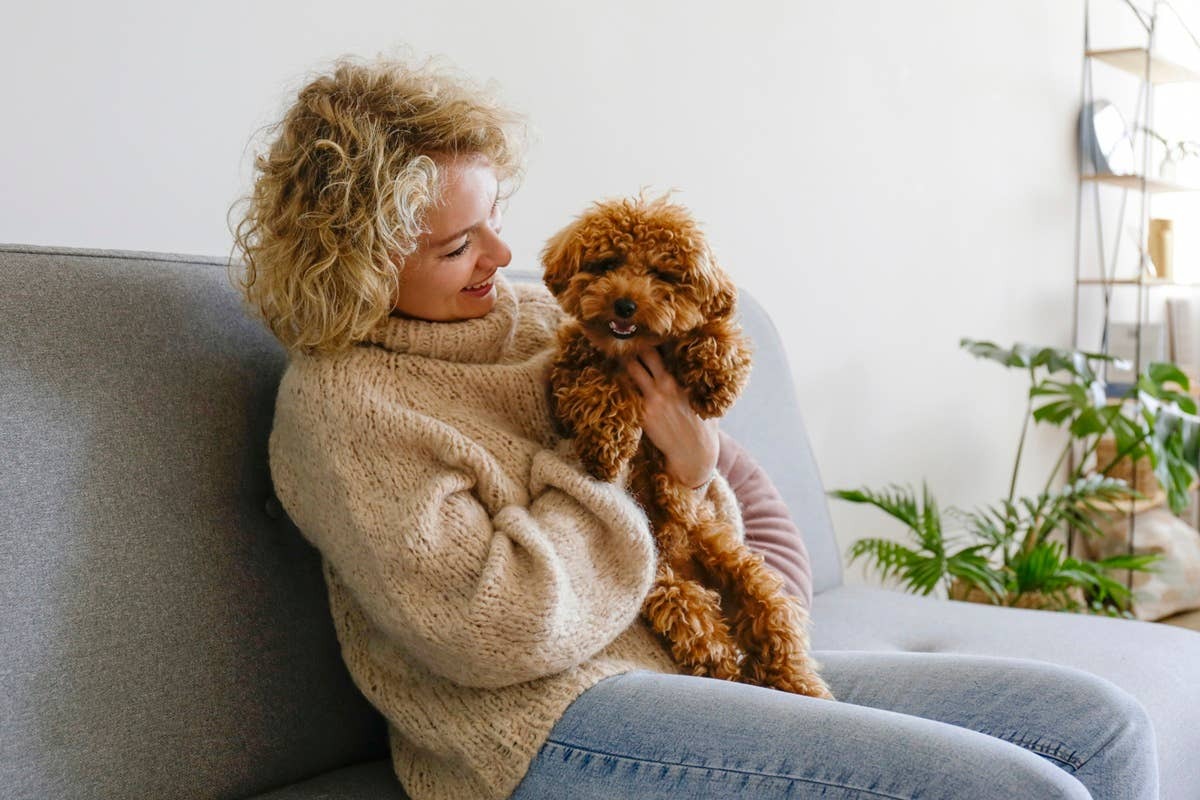  A dog parent cuddling her pup and bonding.