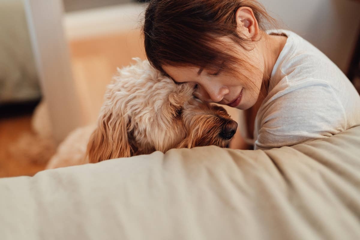  A dog who feels connected and safe with its owner.