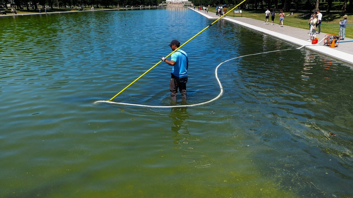 Trump Claims Vandals Are Destroying the Reflecting Pool - So Why Was an Olympian Just Arrested for Destruction of Government Property? 