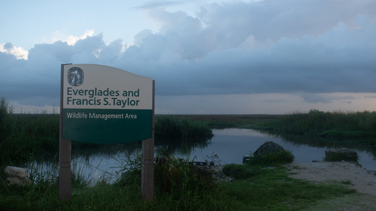 Agricultores de Florida afirman que superan meta para proteger el agua en los Everglades