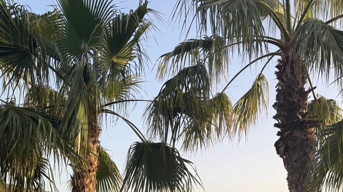 David Geffen's Superyacht Is Hollywood's $400M Secret Mediterranean Summer Camp 