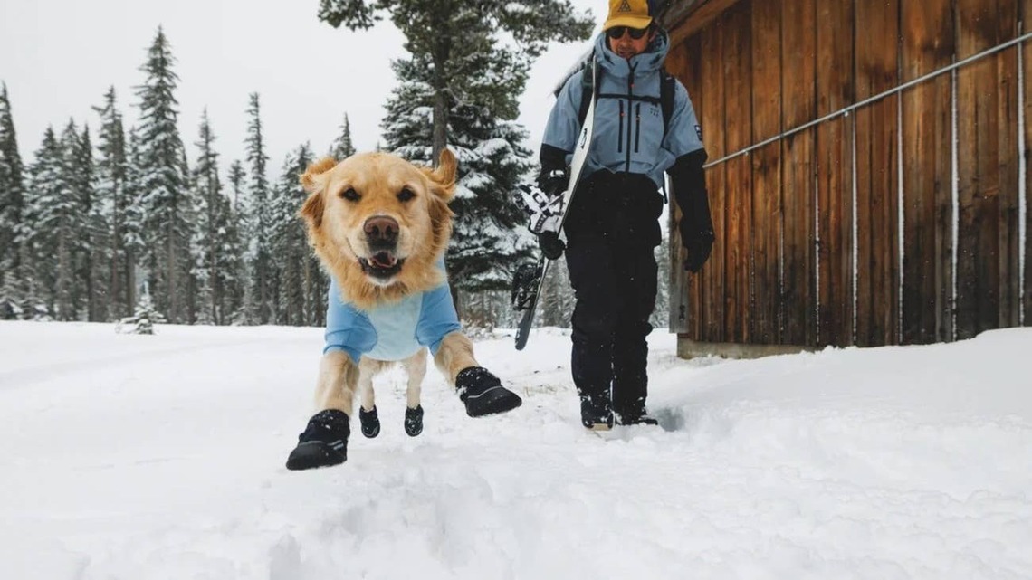 These Ruffwear Boots Keep Your Dog's Paws Dry, Warm and Safe From Snowmelt Chemicals All Winter Long 