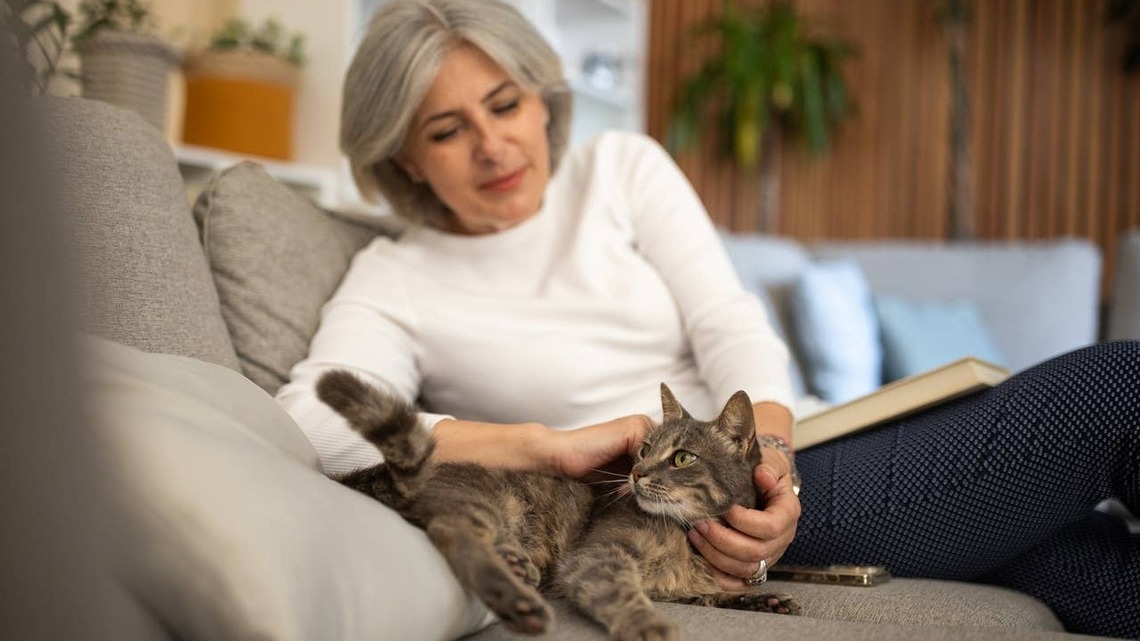 6 Affectionate Cat Breeds That Make Wonderful Companions for Adults Over 50, According to Experts 