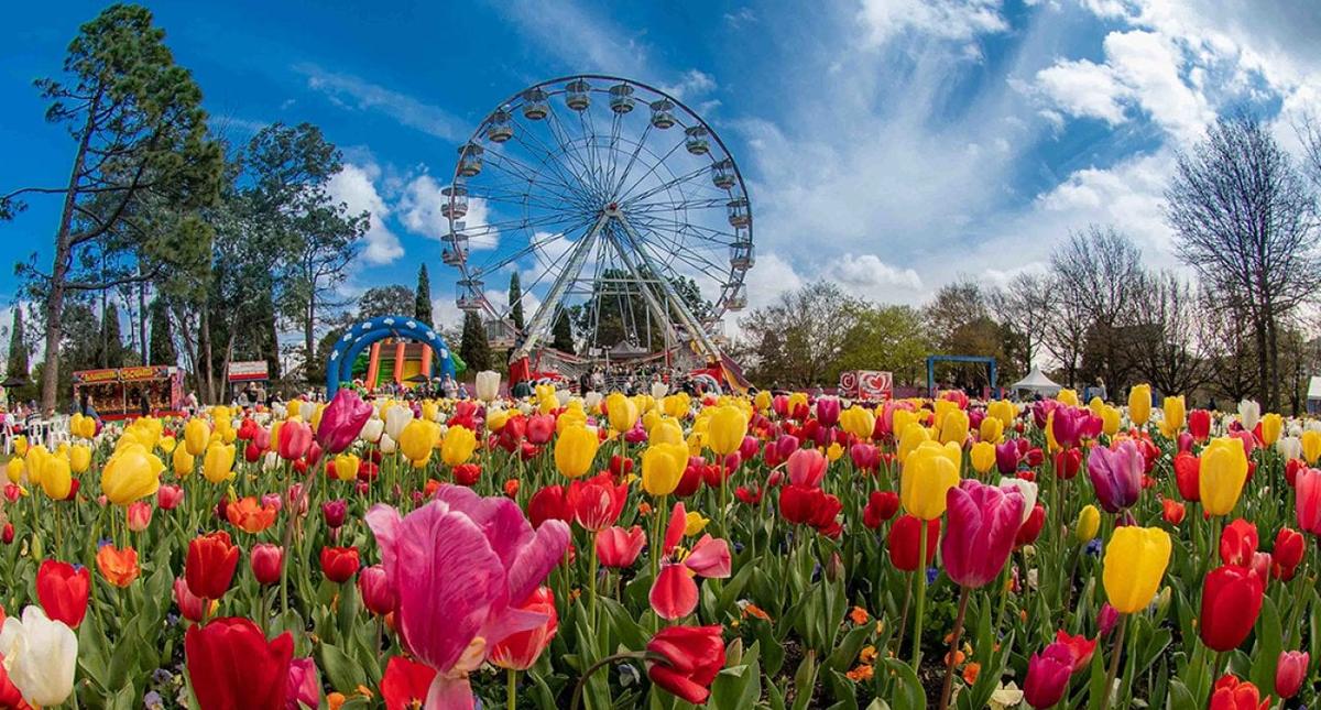  VisitCanberra 
