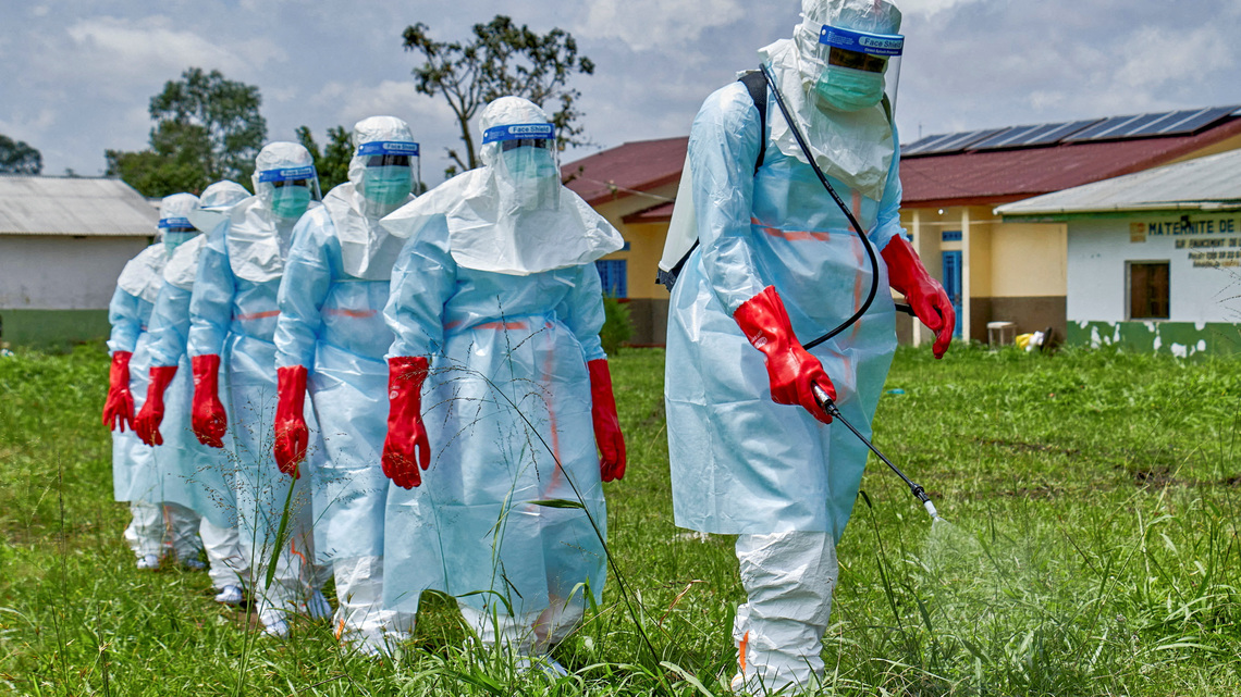 New transmission from animals likely caused Congo-Uganda Ebola outbreak, study says 