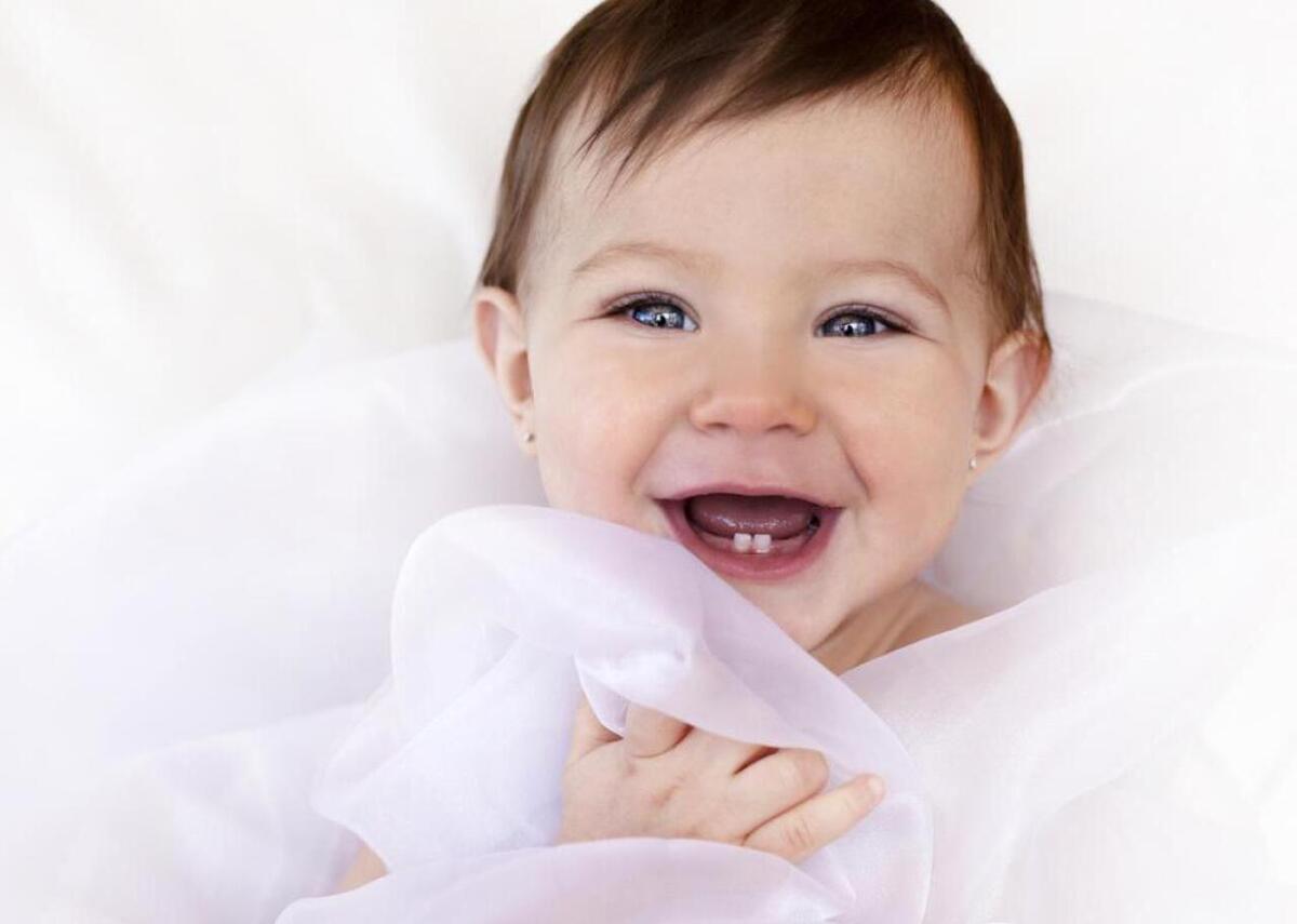 Zdenka Darula // Shutterstock 