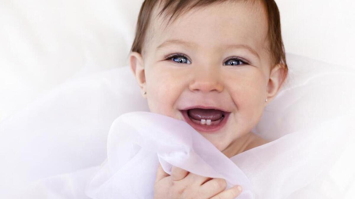 Zdenka Darula // Shutterstock