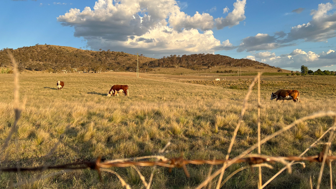 Australia declares El Nino set to be strongest in decades 