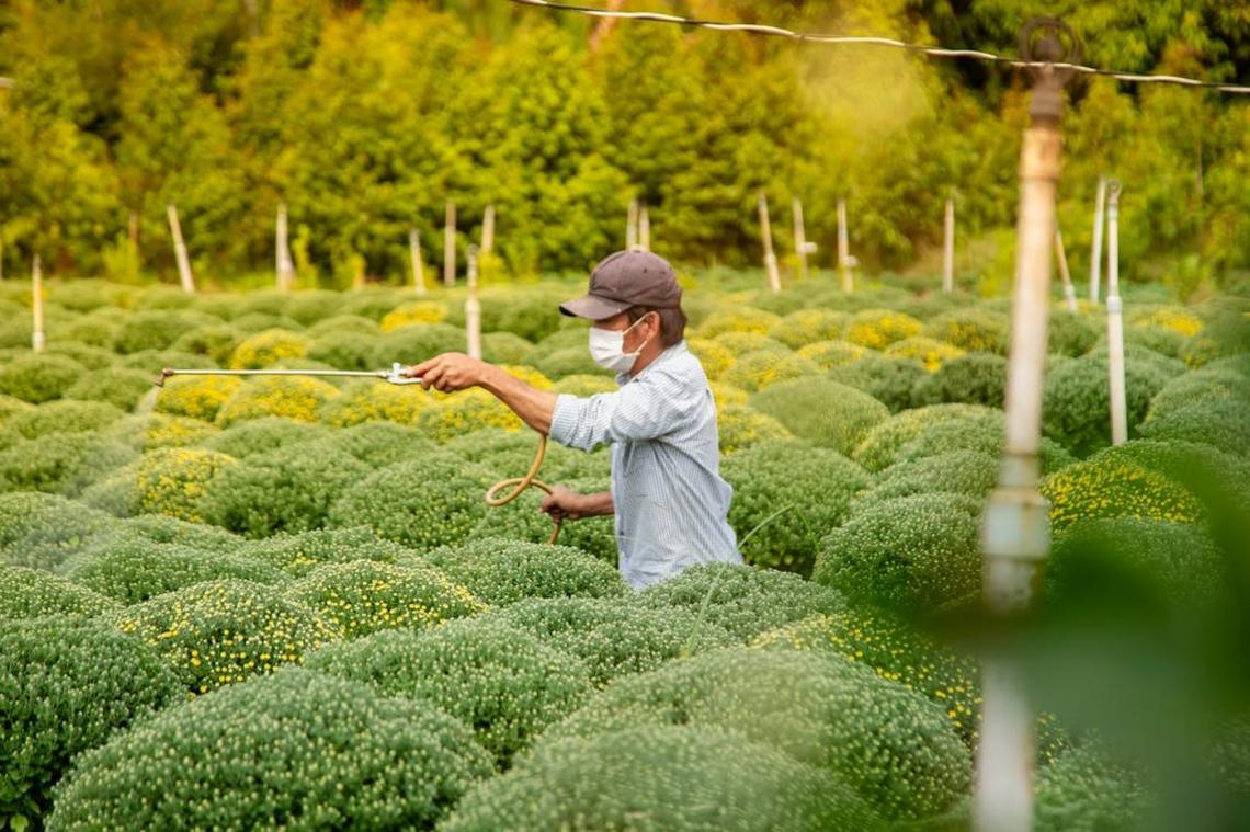  (Photo by Lý Lâm Khả Huy via PExels) 