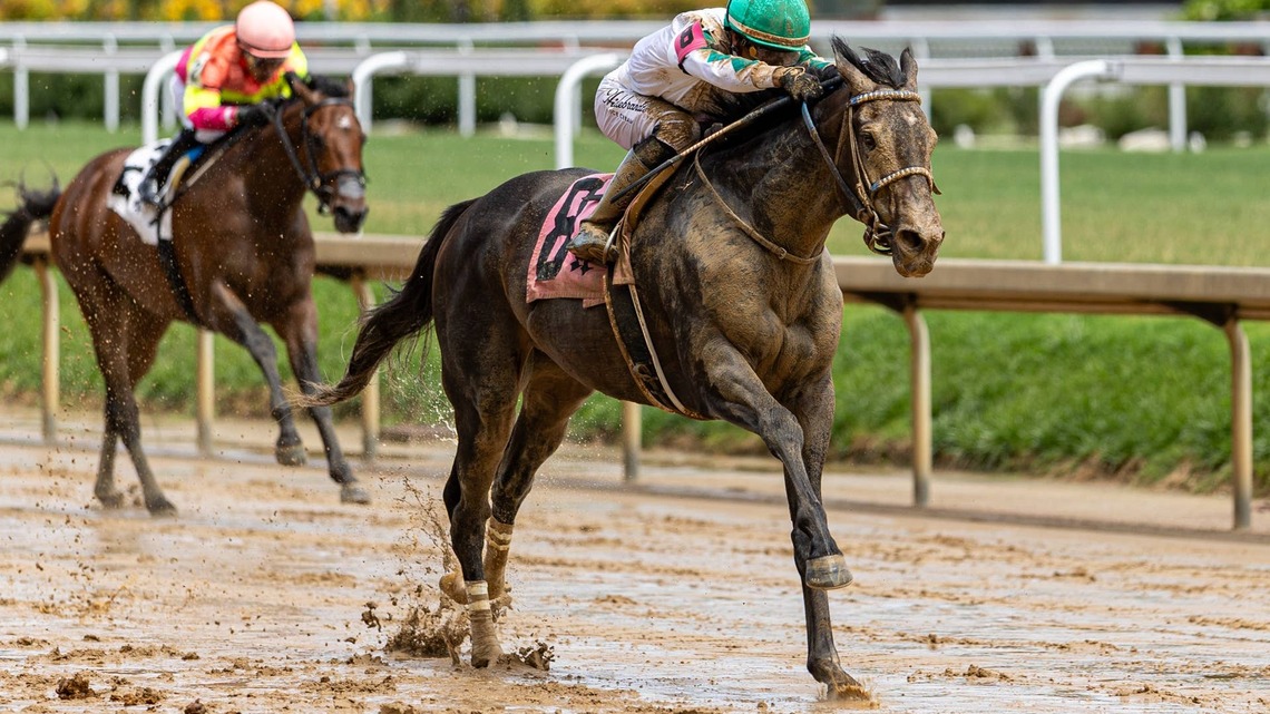 Blackout Time Continues Quest For First Stakes Win In St. Louis Derby 