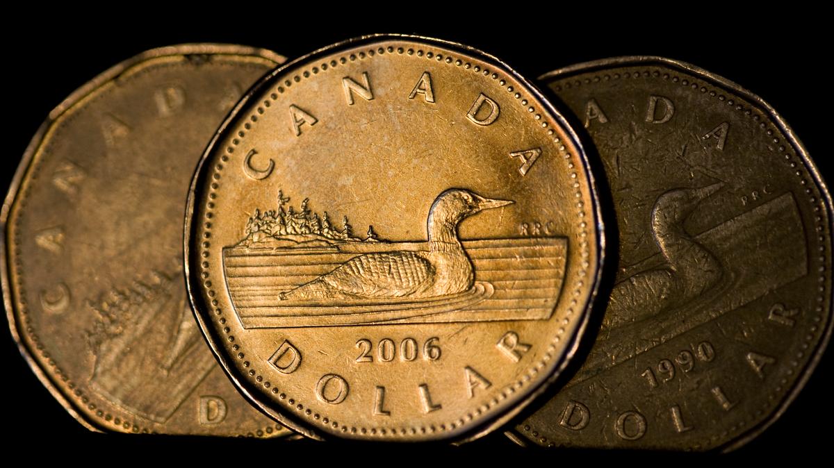 Canadian one dollar coins, also known as loonies, are displayed in Montreal, September 19, 2007. REUTERS/Christinne Muschi