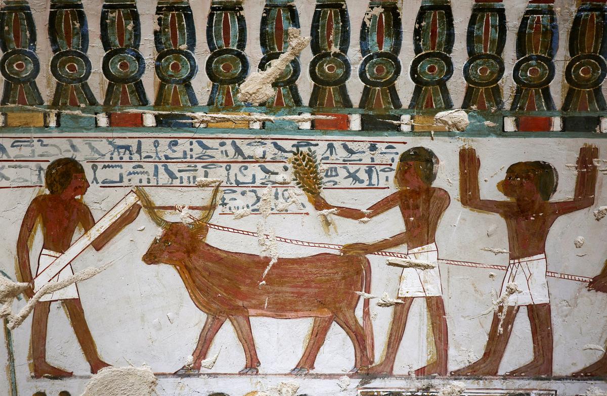 Ancient Egyptian paintings adorn the newly restored tomb wall inside the recently restored ancient "Amenhotep Rabuia" (TT416) in the El-Khokha necropolis on the west bank of the Nile in Luxor, where Egyptian authorities have announced the completion of restoration work on two 18th Dynasty tombs belonging to Amenhotep Rabuia and his son Samut, dating back to the reigns of Pharaohs Thutmose III and Thutmose IV, that contain scenes illustrating daily life, funerary practices, and religious imagery from ancient Egypt, in Egypt, May 14, 2026. REUTERS/Mohamed Abd El Ghany