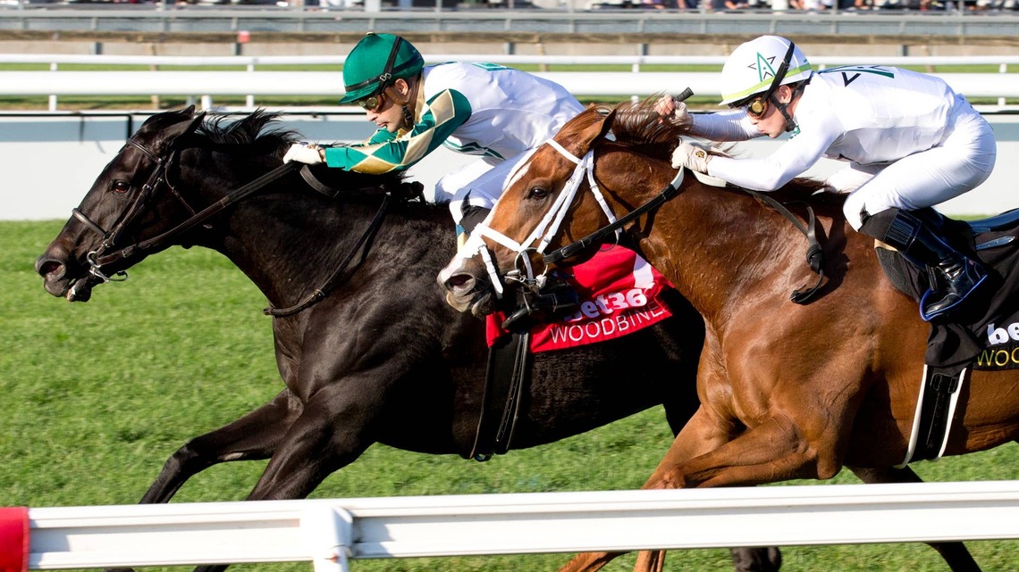 Dance Smartly Stakes Will Again Offer Berth To Pegasus World Cup Filly & Mare Turf 