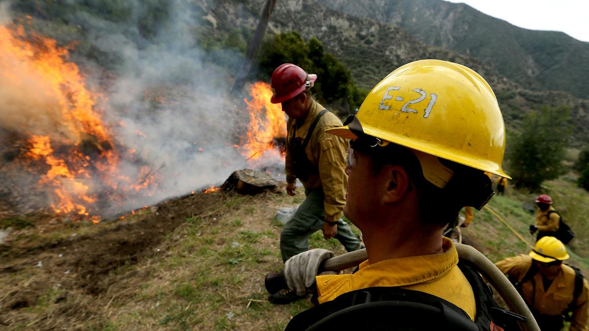 U.S. Forest Service firefighters in the Angeles National Forest burn piles of forest debris below Mt. Baldy on Wednesday, Nov. 29, 2023. Controlled burns are part of the service's forest management practices. (Luis Sinco/Los Angeles Times/TNS)