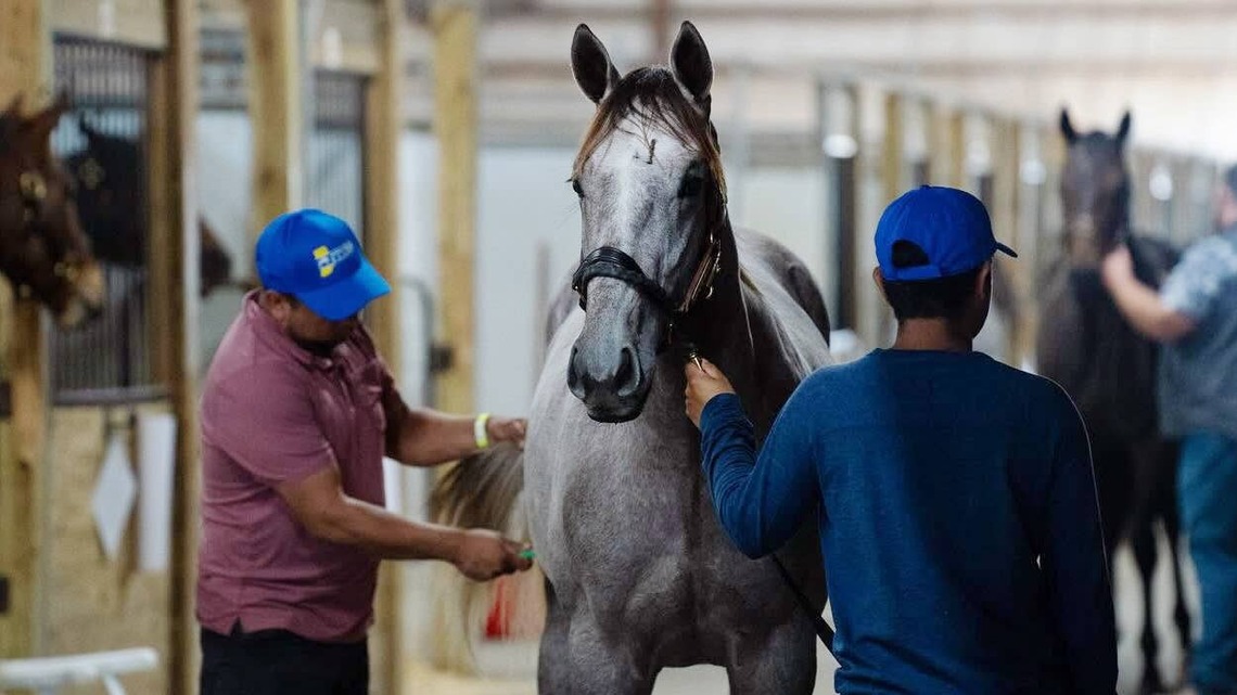 Hoosier Racing Community Invites Fans to 2026 ITOBA & QHRAI Sale Preview 