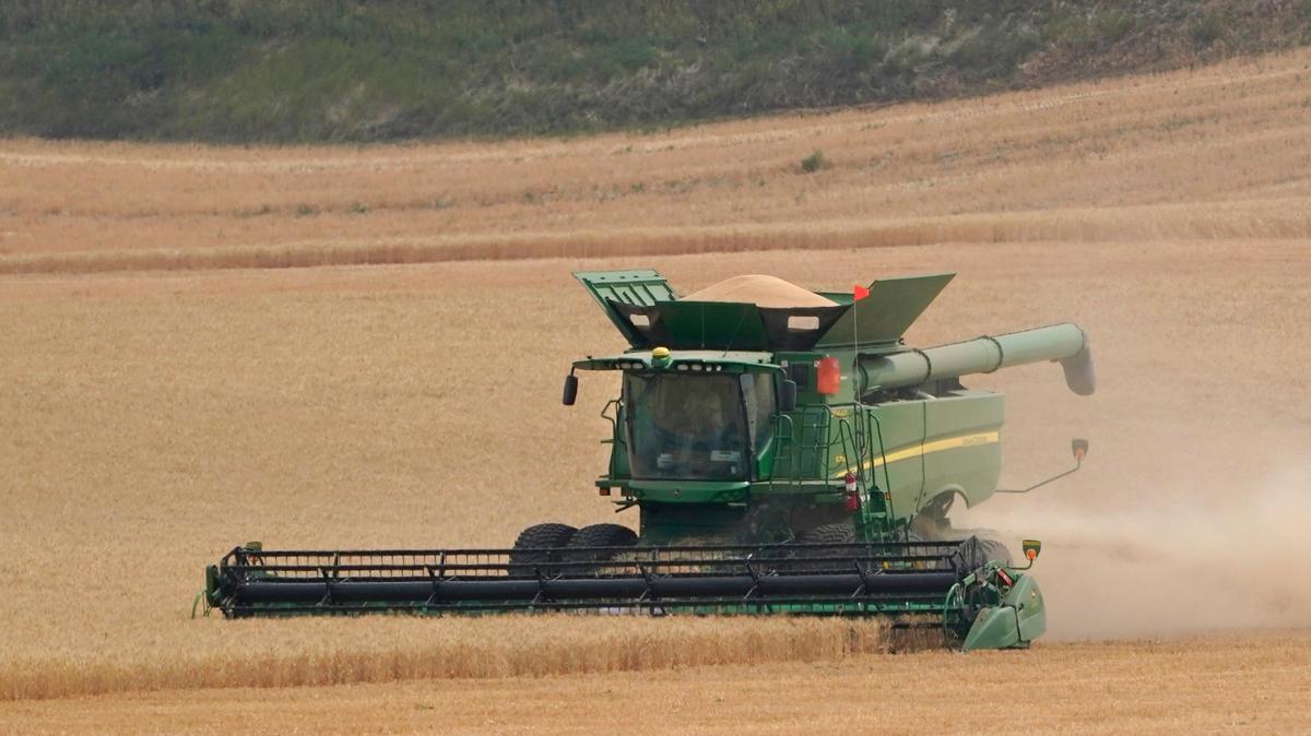 File -- Twelve Washington counties are part of a state drought emergency declaration.